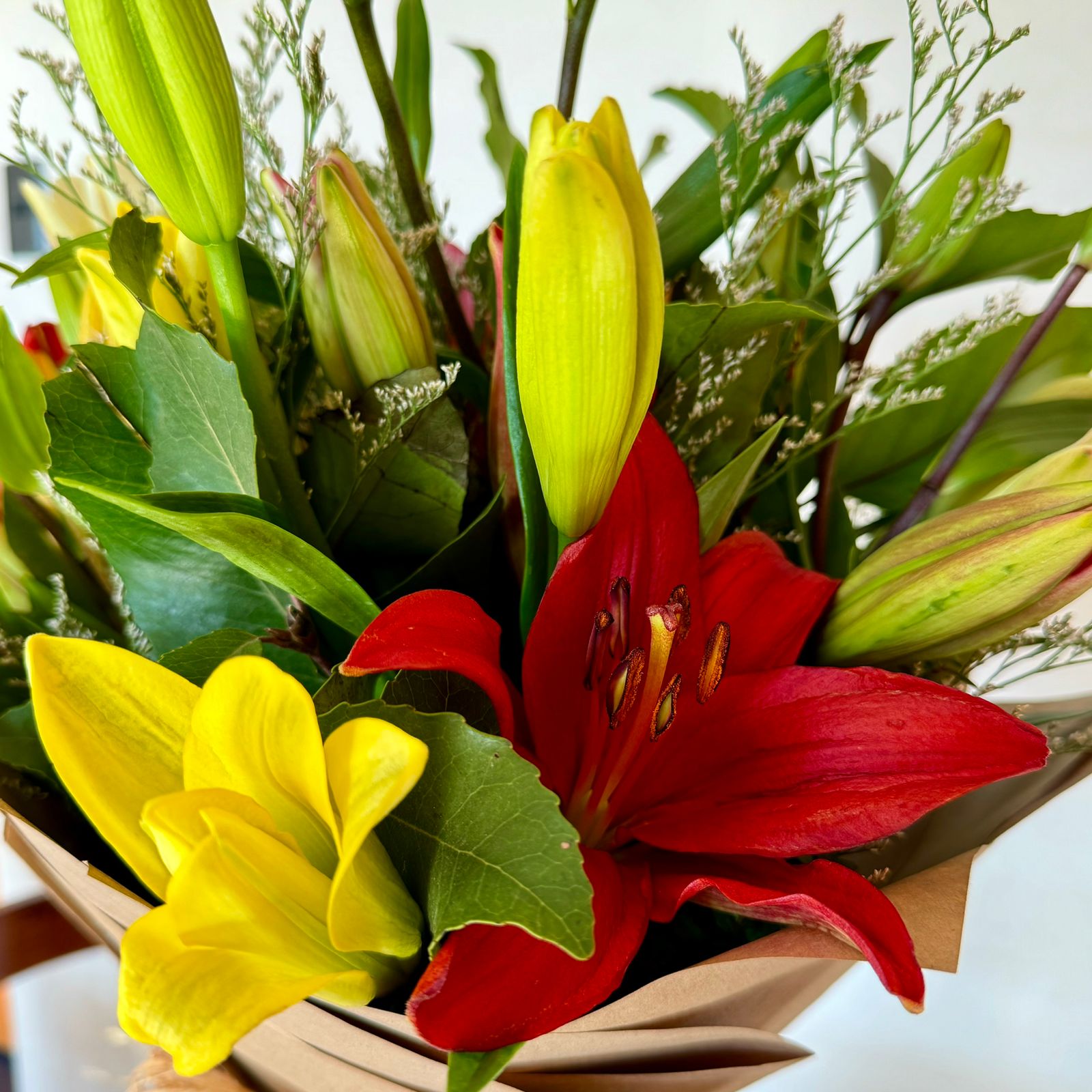 Ramo de 10 Liliums Colores Mixtos | Flor de Café WhatsApp Image 2024 09 30 at 16.01.50