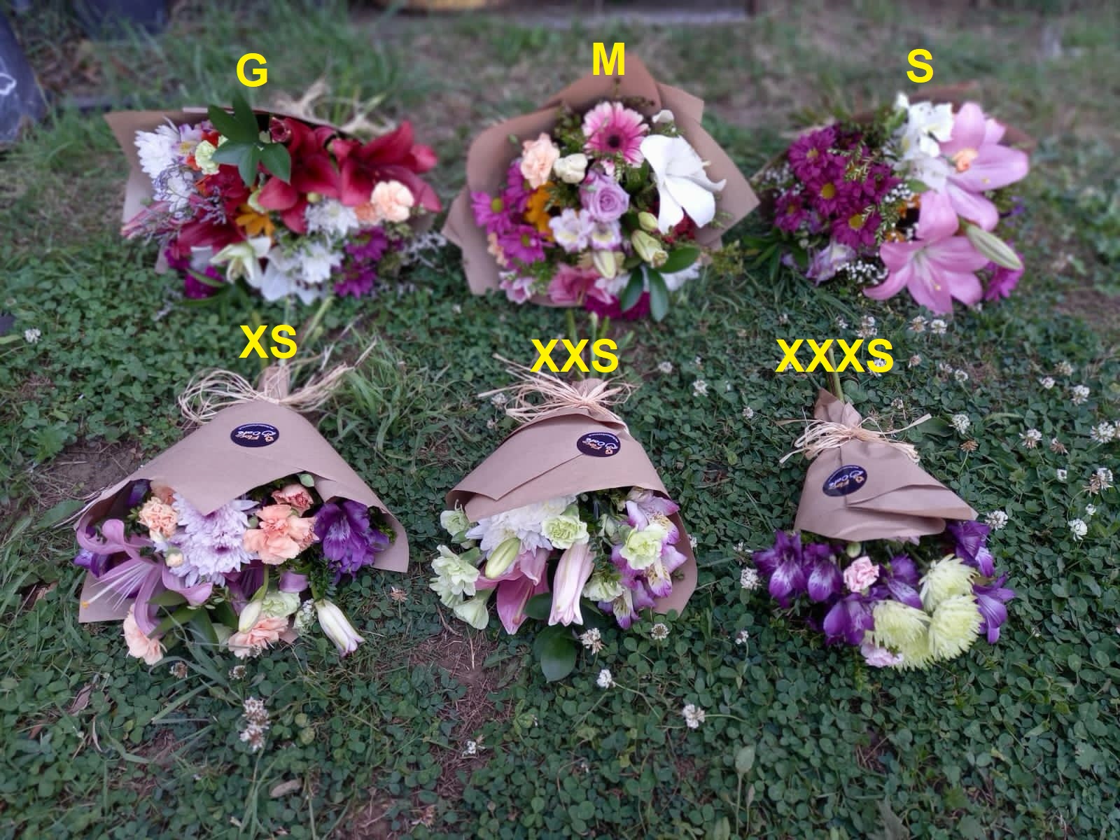 Ramo de Flores Mixtas – Tamaño M | Flor de Café Imagen de WhatsApp 2024 01 08 a las 15.52.13 60b7206f