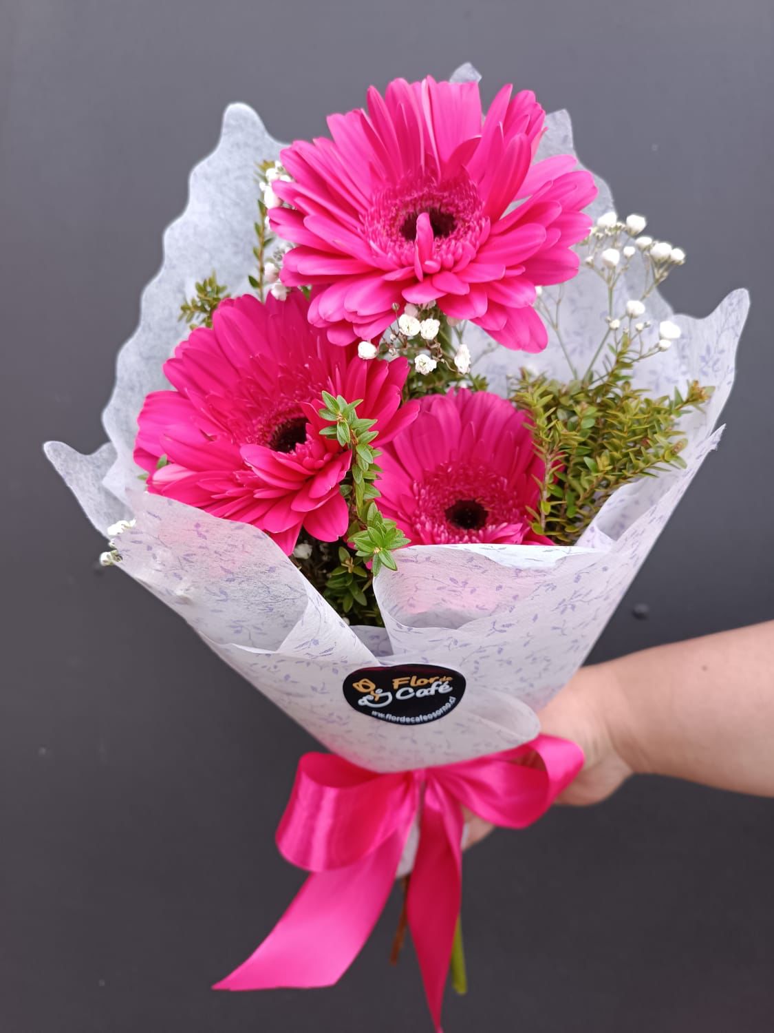 RAMO 3 GERBERAS MIXCOLOR Imagen de WhatsApp 2023 11 22 a las 13.58.04 57f99922