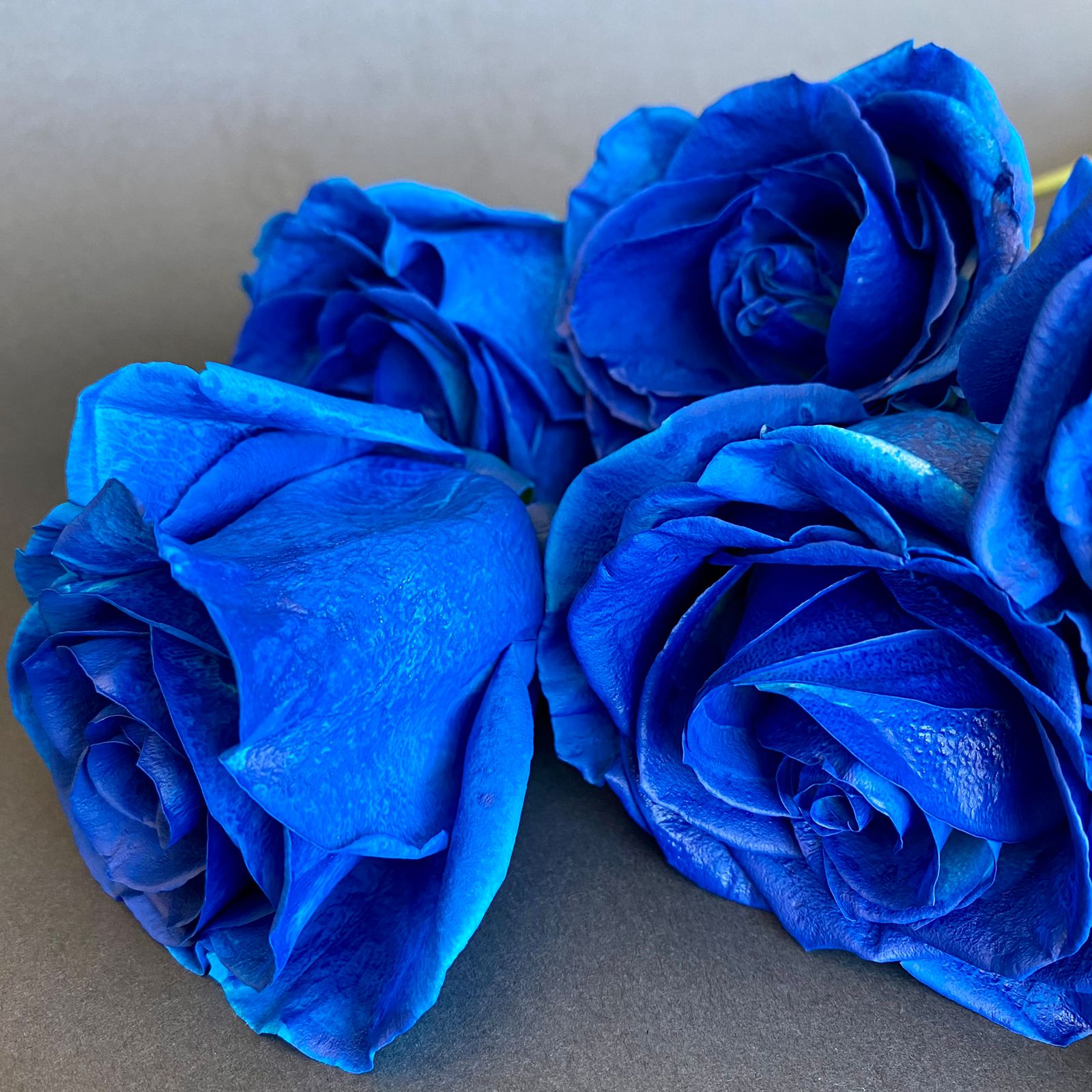 Ramo 6 Rosas Importadas AZUL WhatsApp Image 2021 09 24 at 18.05.27