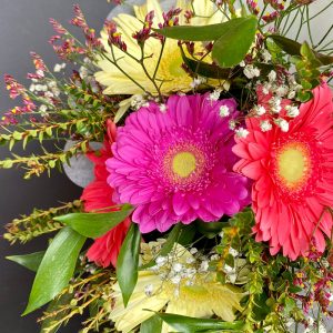 Ramo de 5 Gerberas Colores Mixtos | Flor de Café WhatsApp Image 2022 03 11 at 11.43.47 AM