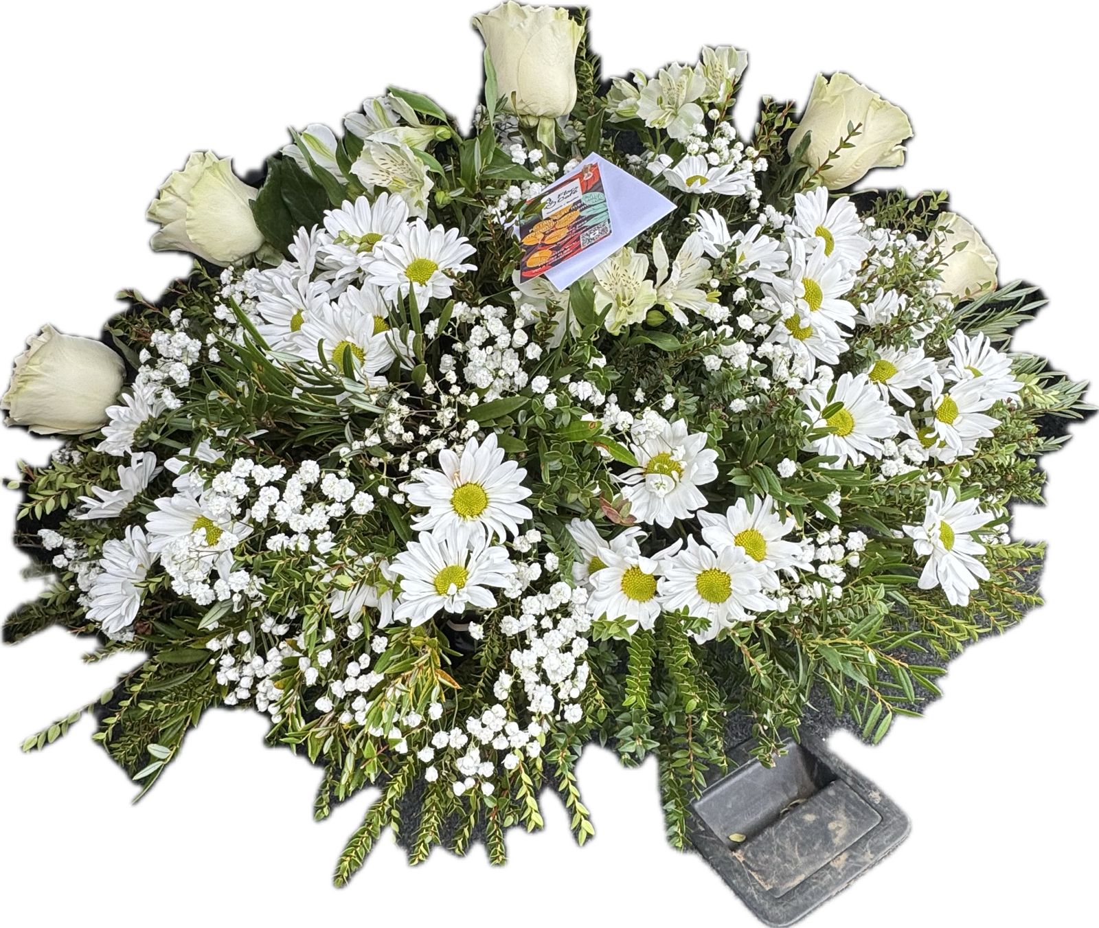 Cubre Urna de Condolencias | Flor de Café WhatsApp Image 2025 06 23 at 17.11.17 1