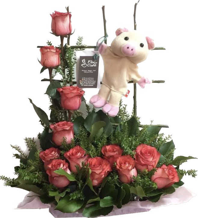 Enredadera Flor de Cafe 12 Rosas AAAAA