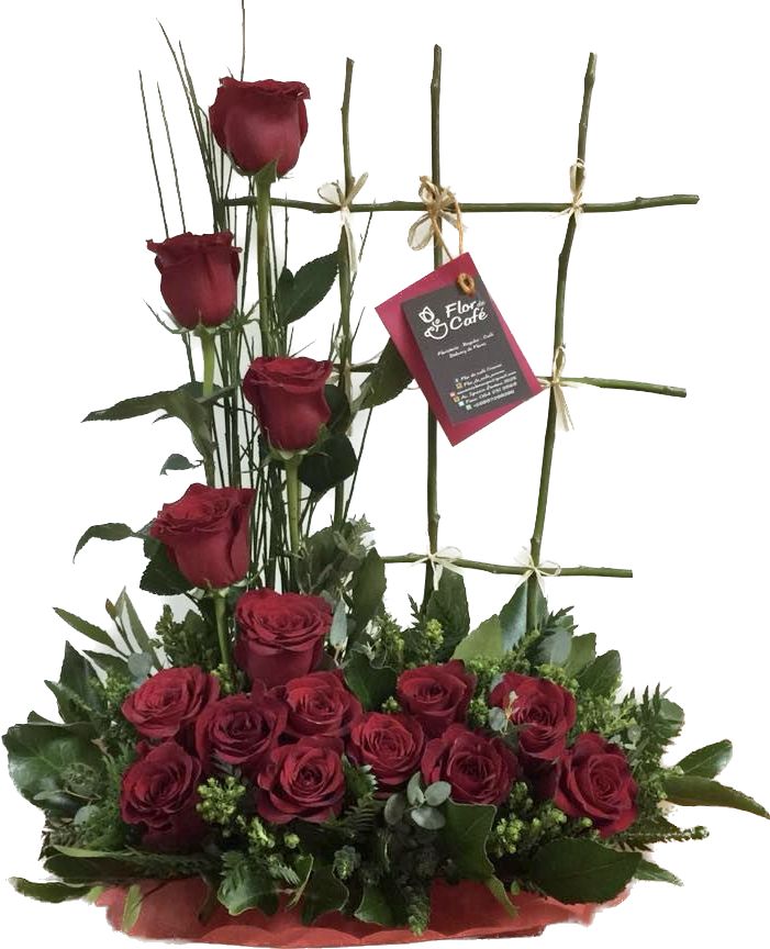 Enredadera Flor de Cafe 12 Rosas BBB