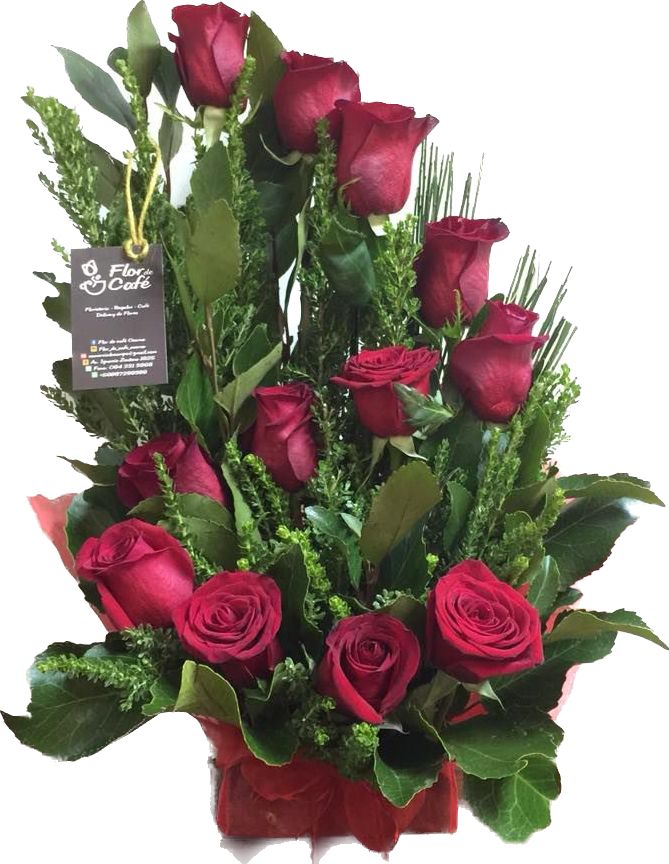 Espiral Flor de Cafe 12 Rosas F