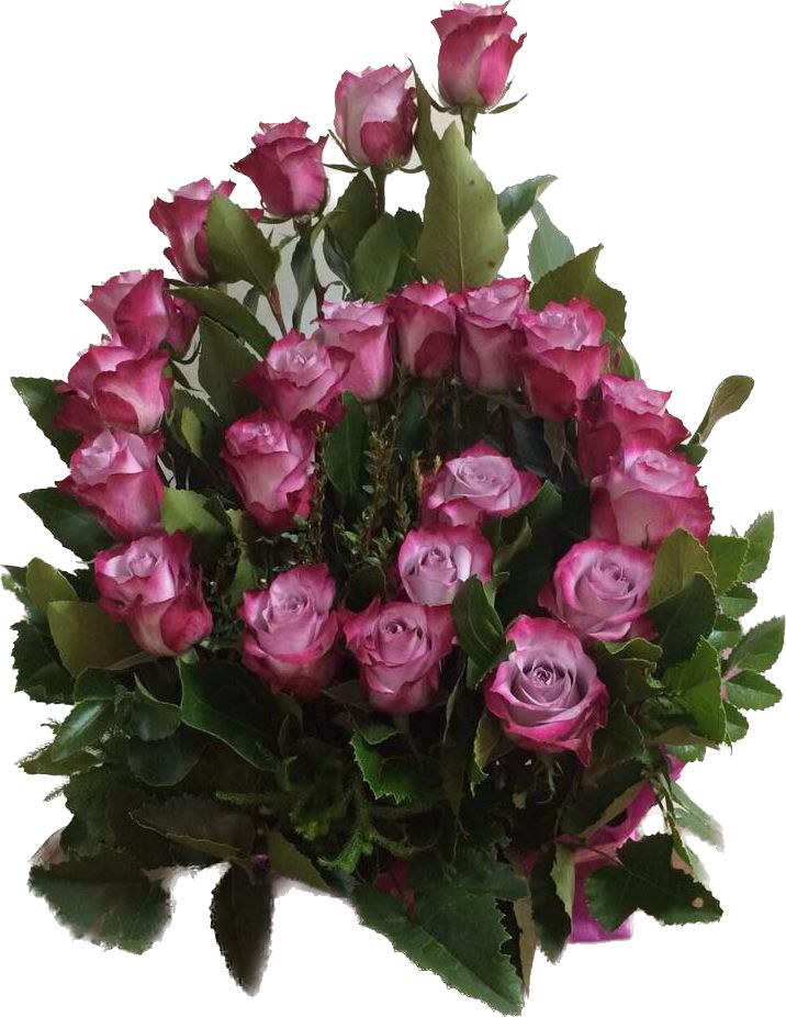 Doble Espiral Flor de Cafe 22 Rosas G